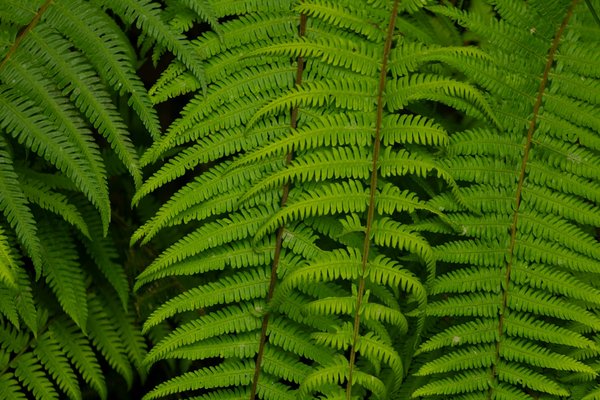 Explorez 5 stratégies innovantes pour inspirer les adolescents à s'aventurer dans la photographie artistique